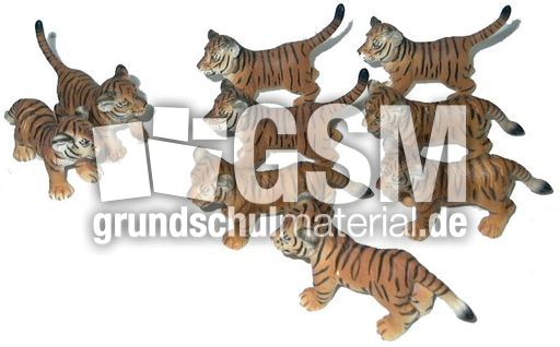 Tiger-2+7.jpg